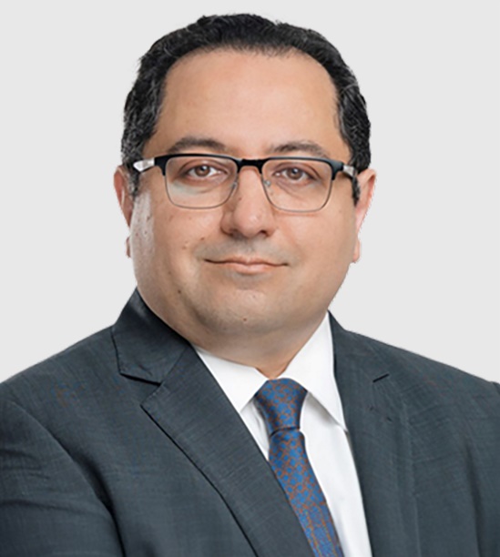 Board Of Directors Vision Invest Kingdom Of Saudi Arabia board-of-directors-vision-invest-kingdom-of-saudi-arabia